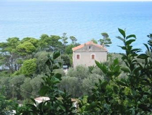 MULINO