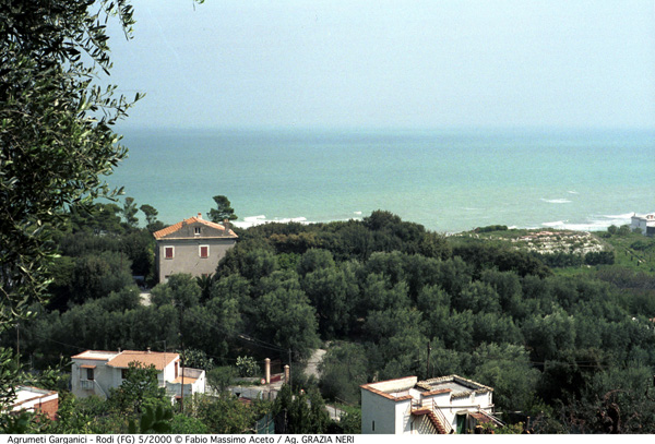 giardino