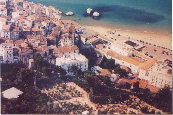 rodi